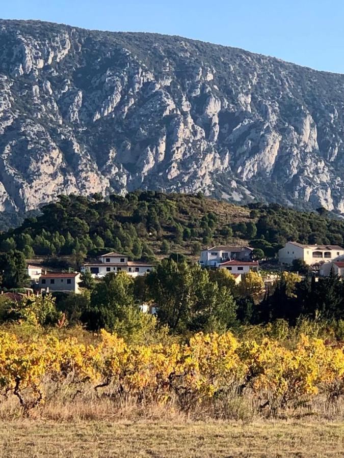 Domaine Mas Terra Panzió Saint-Paul-de-Fenouillet Kültér fotó