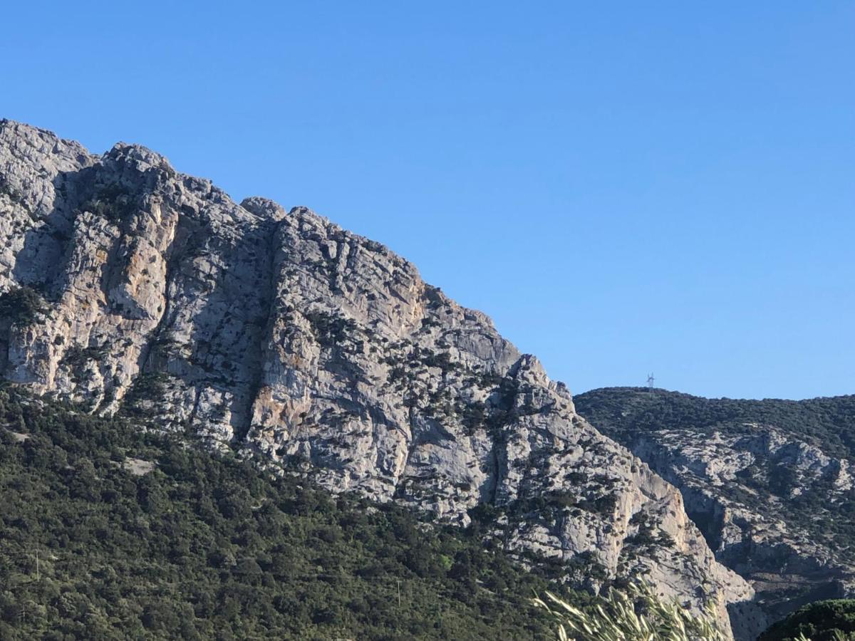 Domaine Mas Terra Panzió Saint-Paul-de-Fenouillet Kültér fotó
