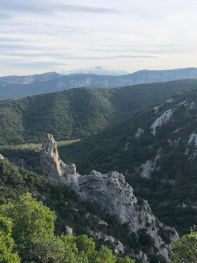 Domaine Mas Terra Panzió Saint-Paul-de-Fenouillet Kültér fotó