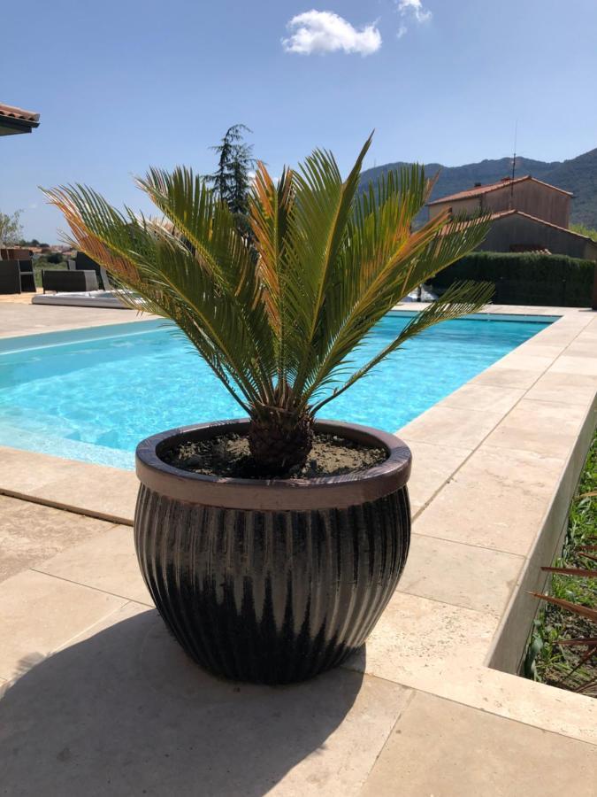 Domaine Mas Terra Panzió Saint-Paul-de-Fenouillet Kültér fotó