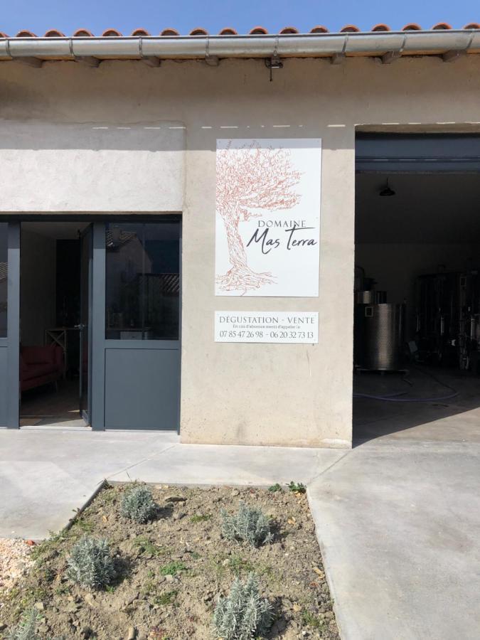 Domaine Mas Terra Panzió Saint-Paul-de-Fenouillet Kültér fotó