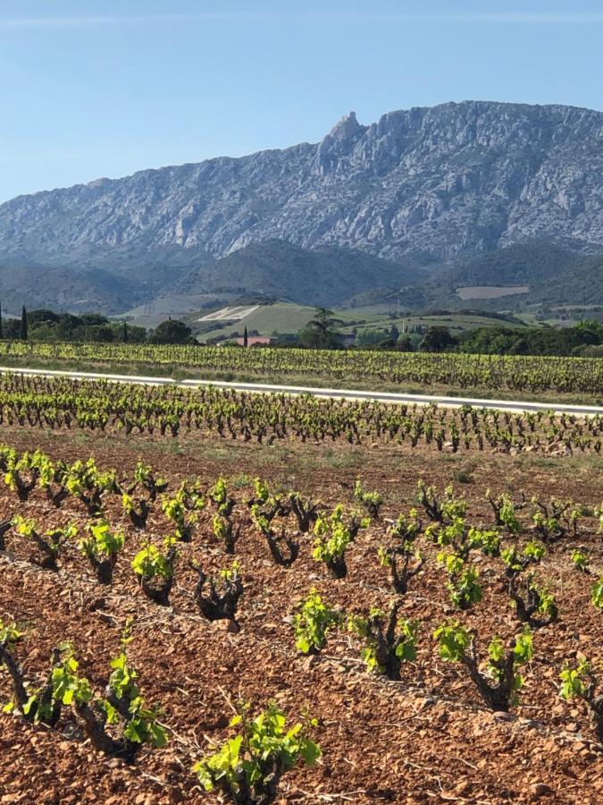 Domaine Mas Terra Panzió Saint-Paul-de-Fenouillet Kültér fotó